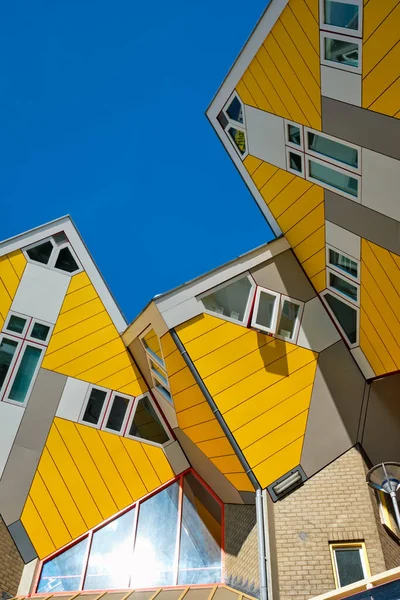 Hollanda, Rotterdam 'da küp evler — Stok fotoğraf