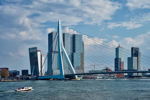 Vista del paisaje de Rotterdam con el puente Erasmusbrug sobre Nieuwe Maas y rascacielos de arquitectura moderna —  Fotos de Stock