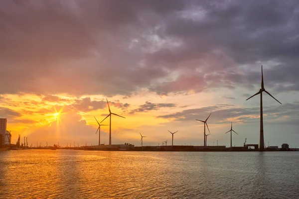 Wind turbines in Antwerp port on sunset. — Stock Photo, Image