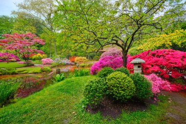 Japon bahçesi, Park Clingendael, Lahey, Hollanda