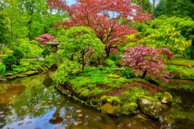 Japon bahçesi, Park Clingendael, Lahey, Hollanda