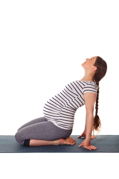 Femme enceinte faisant du yoga asana Ustrasana — Photo