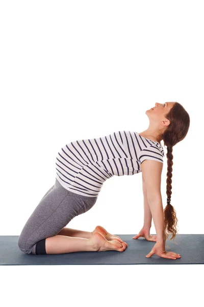 Mujer embarazada haciendo yoga asana Ustrasana —  Fotos de Stock