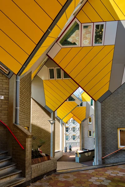 Cube houses in Rotterdam, Paesi Bassi — Foto Stock