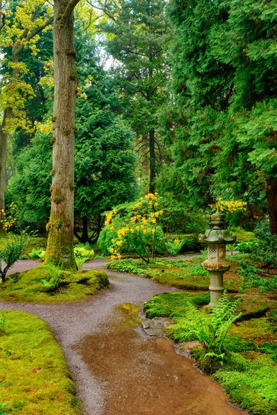 Jardim japonês, Park Clingendael, Haia, Países Baixos — Fotografia de Stock