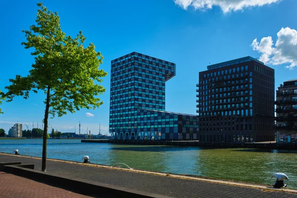 以原始设计著称的鹿特丹研究所主楼 — 图库照片