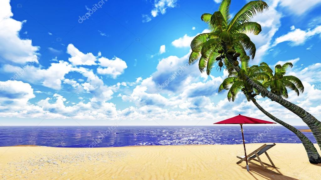 Beautiful palm beach