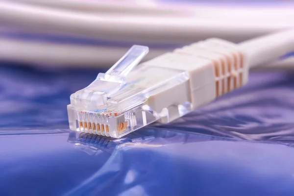 Закрыть кабель Ethernet — стоковое фото