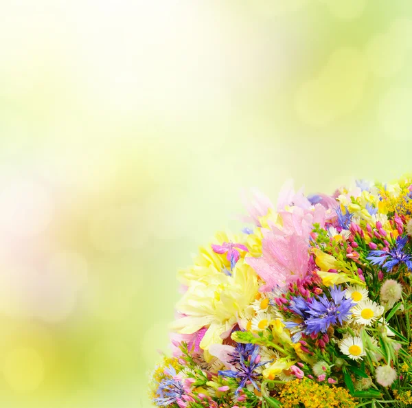 Flores de verano — Foto de Stock