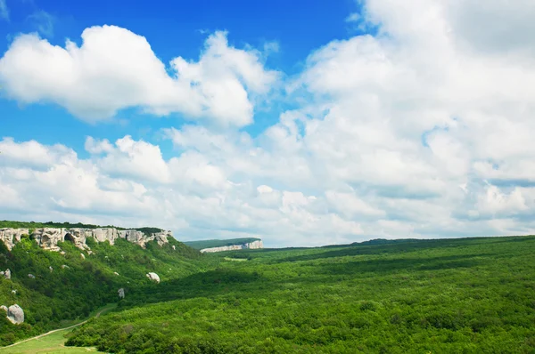 Mountain summer landscape — Stock Photo, Image