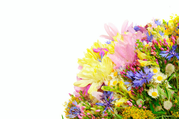 Летние цветы