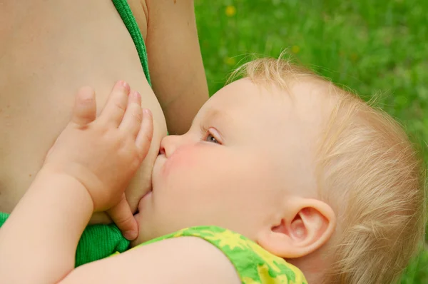 새끼에게 젖을 먹이는 어미 — 스톡 사진