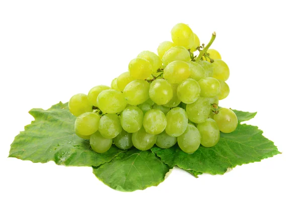 Uvas —  Fotos de Stock