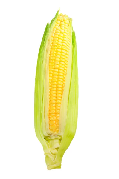 Corn cob — Stock Photo, Image