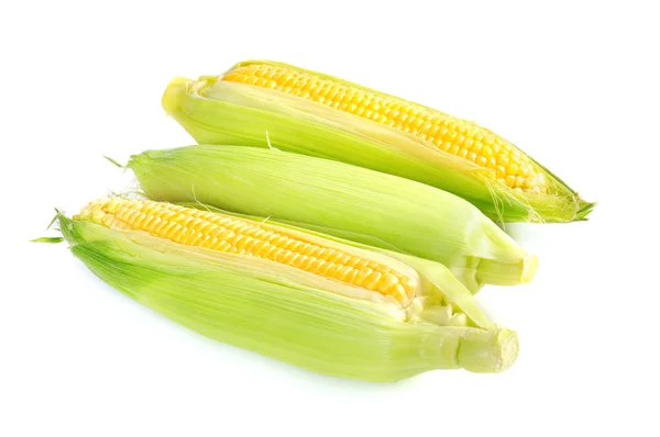 Corn cobs — Stock Photo, Image