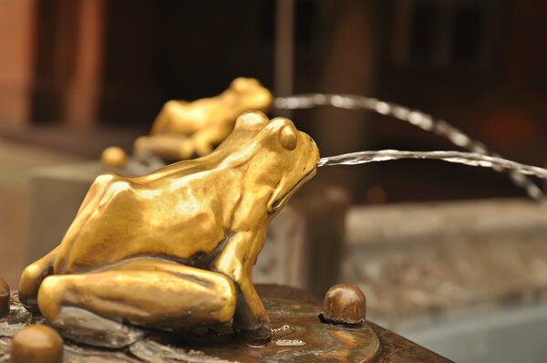 Fountain with frog in Torun