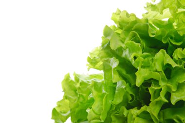 yeşil salata