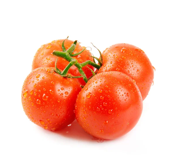 Tomaten — Stockfoto