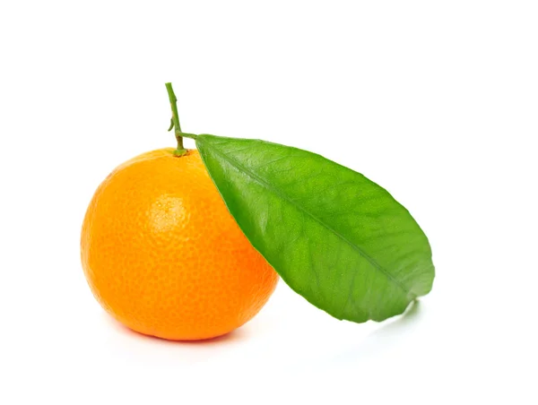 Tangerine geïsoleerd — Stockfoto