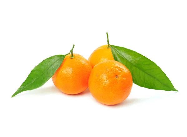 Tangerine isolated — Stock Photo, Image