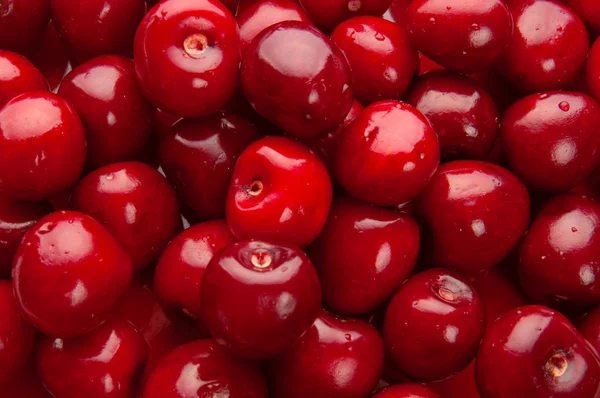 Sweet cherry bakgrund — Stockfoto
