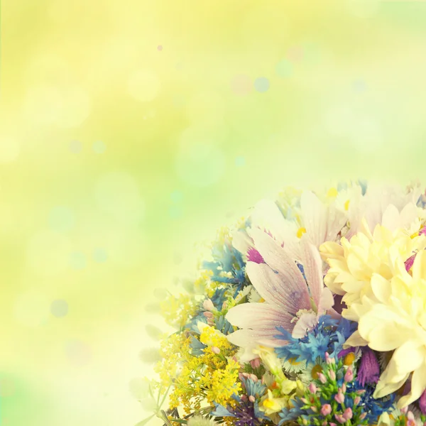 Zomer bloemen — Stockfoto