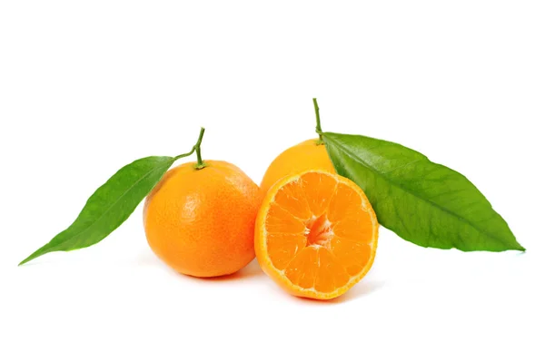 Tangerine ізольовані — стокове фото