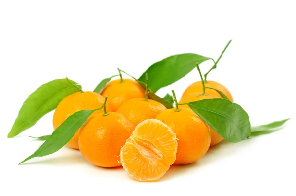 Tangerine geïsoleerd — Stockfoto