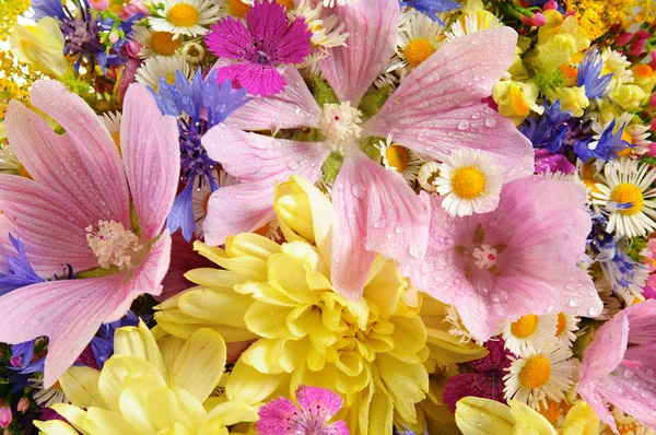 Summer flowers — Stock Photo, Image