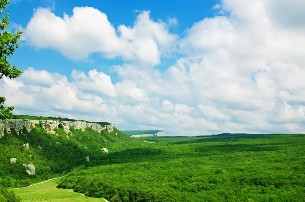 Mountain summer landscape — Stock Photo, Image