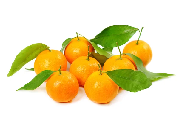 Tangerine geïsoleerd — Stockfoto