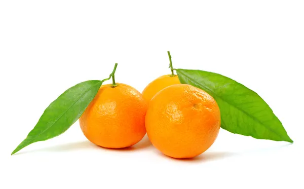 Tangerine ізольовані — стокове фото