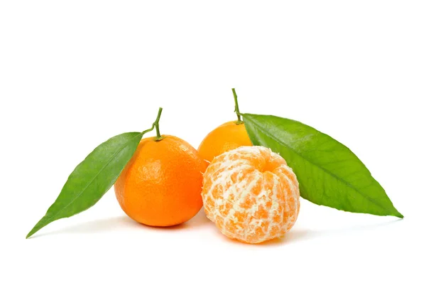 Tangerine geïsoleerd — Stockfoto