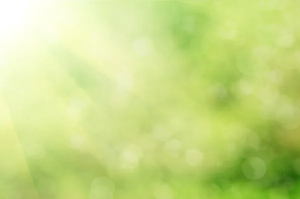 doğal bokeh
