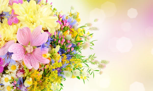 Sommar blommor — Stockfoto