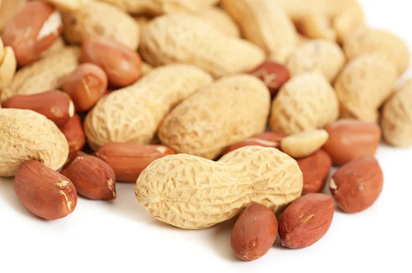 Peanuts isolated — Stock Photo, Image