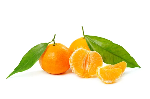 Tangerine geïsoleerd — Stockfoto