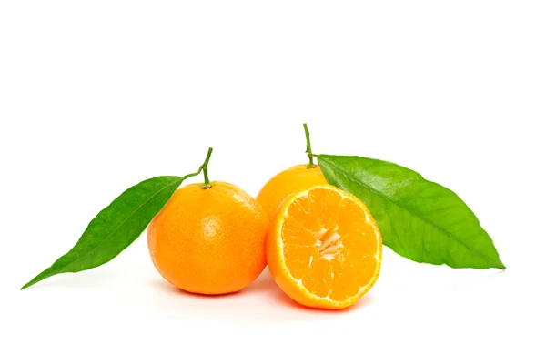 Tangerine geïsoleerd — Stockfoto