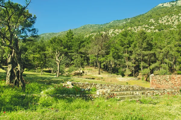 Turkse landschap — Stockfoto