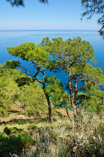 Turkey sea landscape — Stock Photo, Image