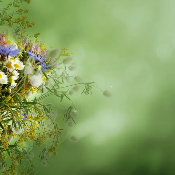 ビンテージ夏の花 — ストック写真