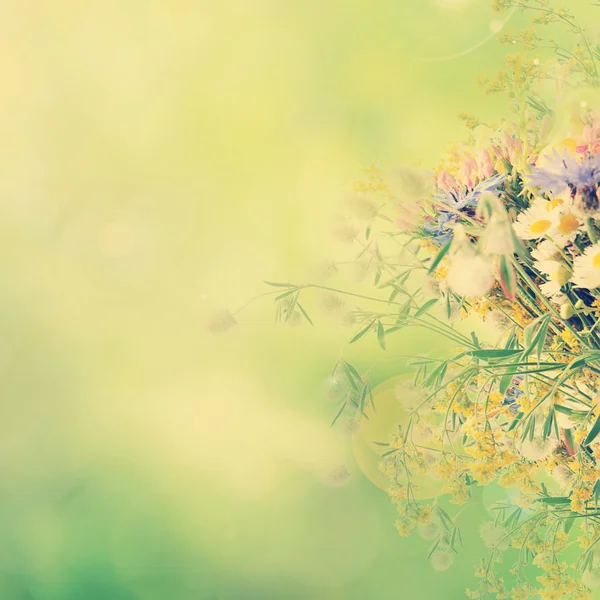 빈티지 여름 꽃 — 스톡 사진