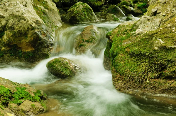 Corriente de montaña — Foto de Stock