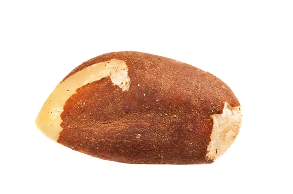 Brazilský ořech, samostatný — Stock fotografie