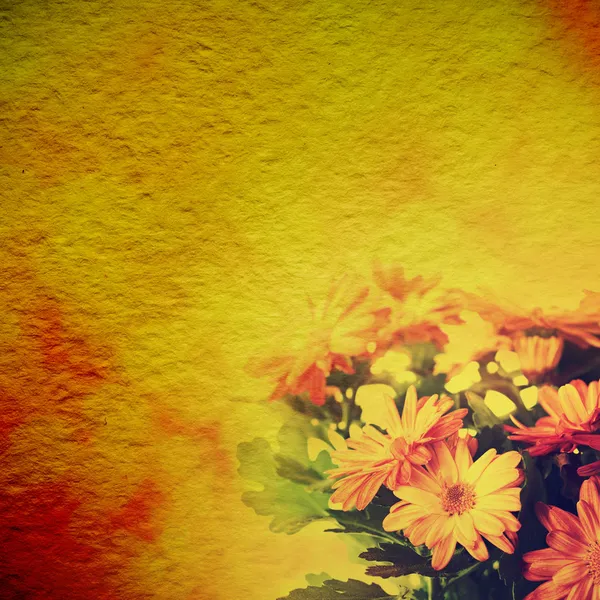 Chrysanthemen floralen Hintergrund — Stockfoto
