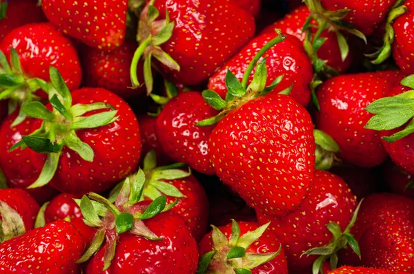 Strawberry background — Stock Photo, Image