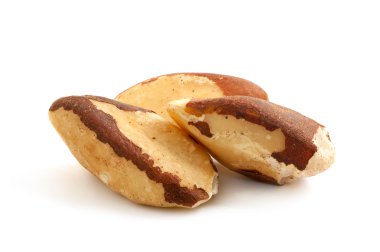 Brezilya fıstığı izole