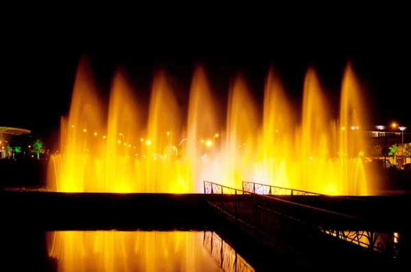 Batumi fountain show — Stock Photo, Image