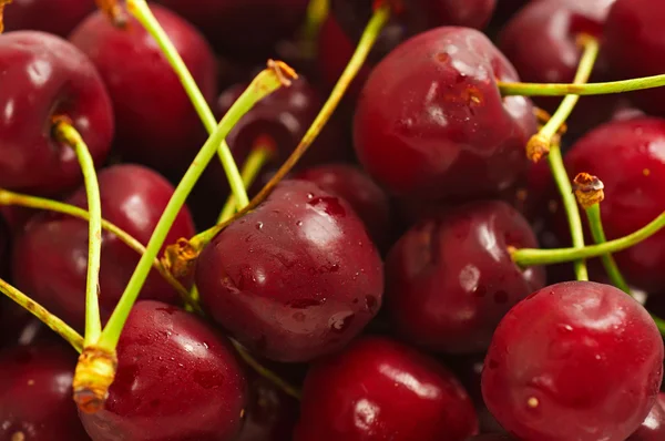 Latar belakang cherry manis — Stok Foto