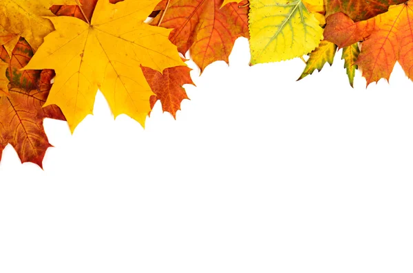Herbstblätter rahmen ein — Stockfoto